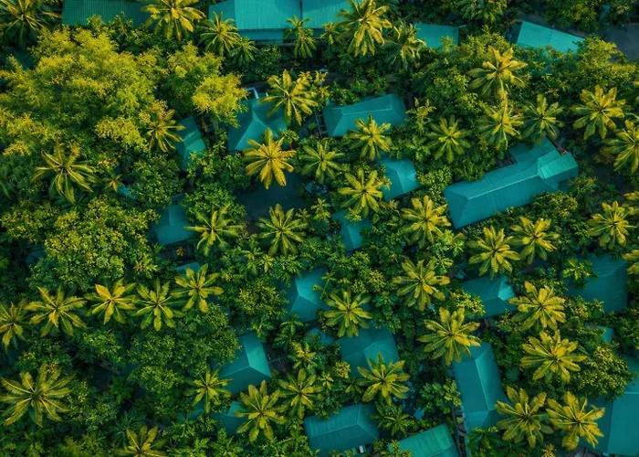 Palm Grove Eco Resort